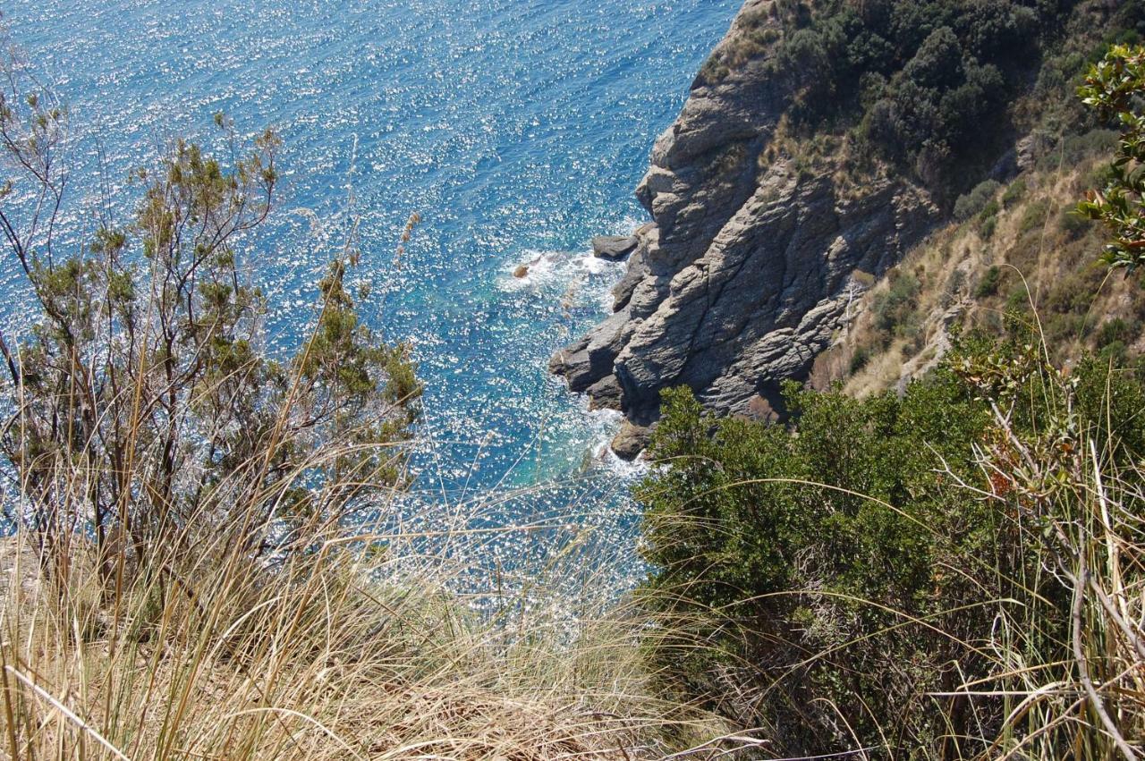 Time Is You Ραπάλο Εξωτερικό φωτογραφία